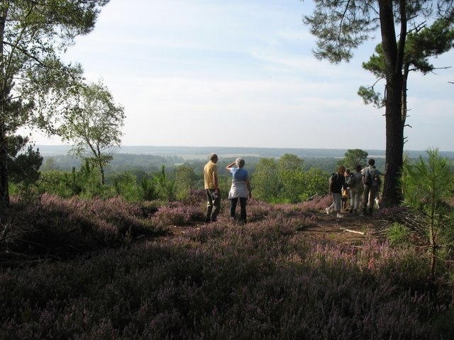2007 08 Bois de Rochefort 20